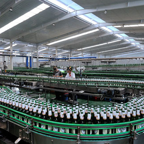 金荞(qiáo)麥啤酒(jiu)廠包裝(zhuāng)箱供應(yīng)